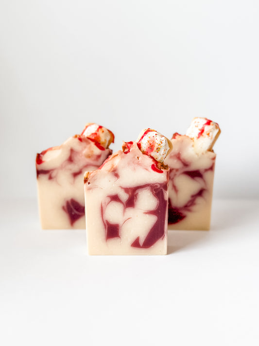 Strawberry Toaster Pastry Soap Bar